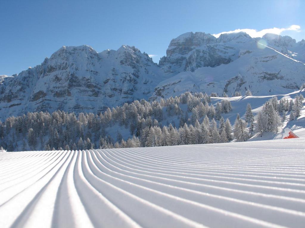 Chalet Fiocco Di Neve Пинцоло Экстерьер фото