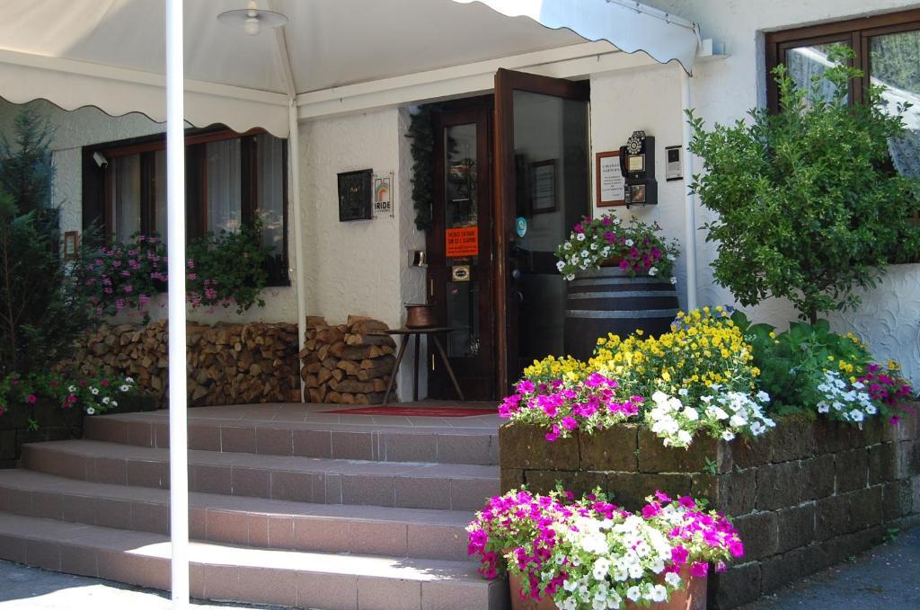 Chalet Fiocco Di Neve Пинцоло Экстерьер фото